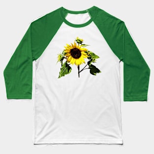 Sunflower Taking a Bow Baseball T-Shirt